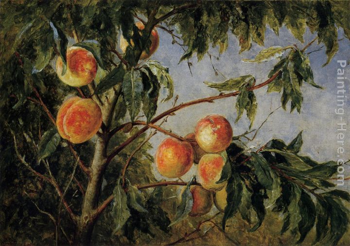 Peaches painting - Thomas Worthington Whittredge Peaches art painting